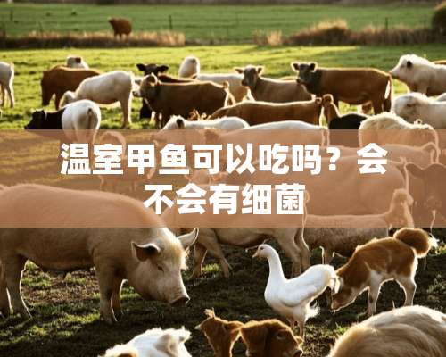 温室甲鱼可以吃吗？会不会有细菌