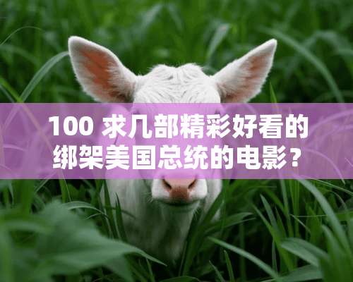 100 求几部精彩好看的绑架美国总统的电影？