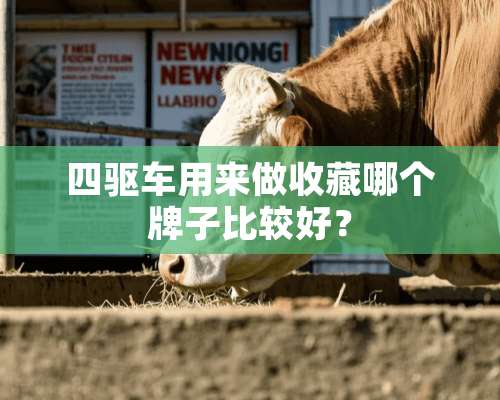 四驱车用来做收藏哪个牌子比较好？