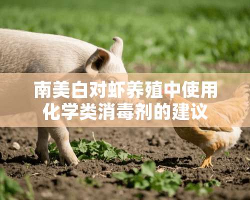 南美白对虾养殖中使用化学类消毒剂的建议