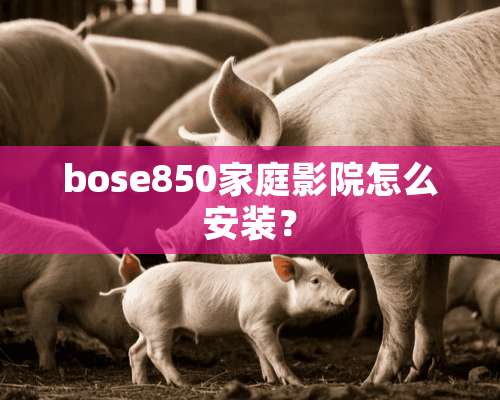 bose850家庭影院怎么安装？