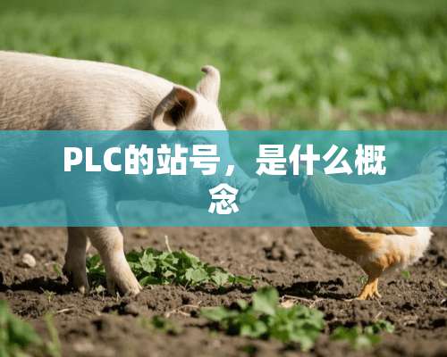 PLC的站号，是什么概念