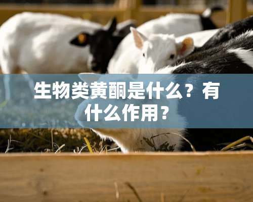 生物类黄酮是什么？有什么作用？