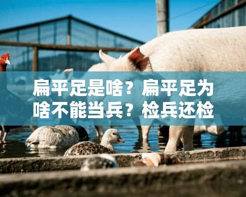 扁平足是啥？扁平足为啥不能当兵？检兵还检查足？