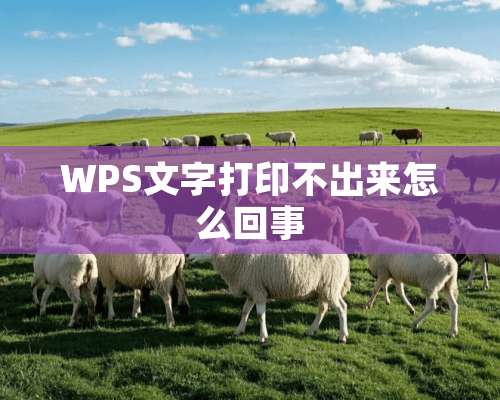 WPS文字打印不出来怎么回事