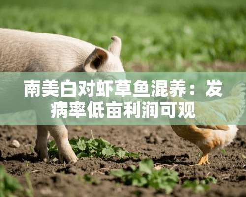 南美白对虾草鱼混养：发病率低亩利润可观