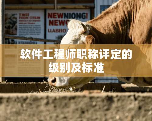 软件工程师职称评定的级别及标准