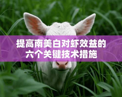 提高南美白对虾效益的六个关键技术措施