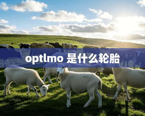 optlmo 是什么轮胎