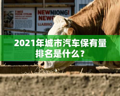 2021年城市汽车保有量排名是什么？