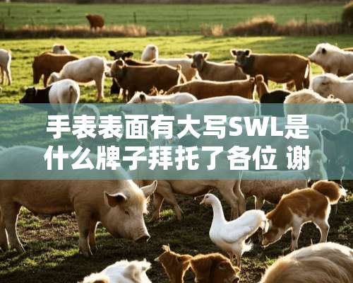 手表表面有大写SWL是什么牌子拜托了各位 谢谢