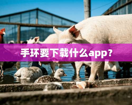 手环要下载什么app？