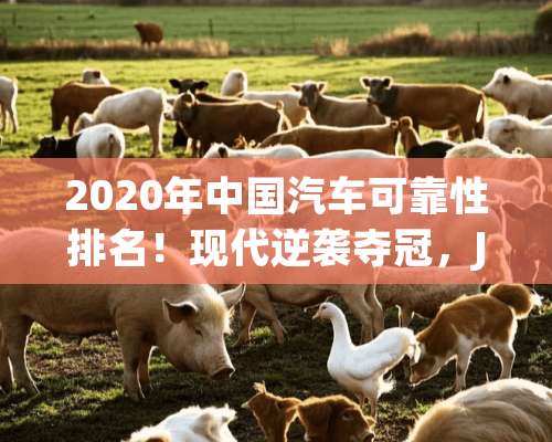 2020年中国汽车可靠性排名！现代逆袭夺冠，JEEP排第三？