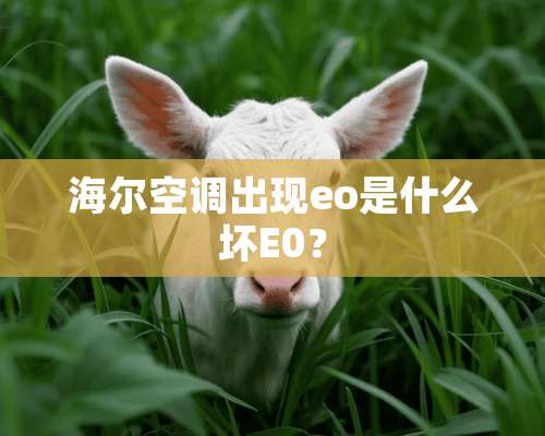 海尔空调出现eo是什么坏E0？