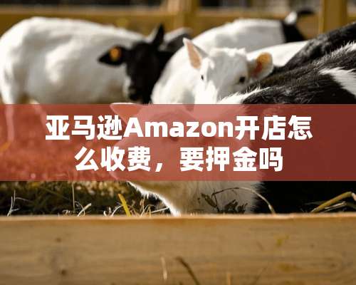 亚马逊Amazon开店怎么收费，要押金吗