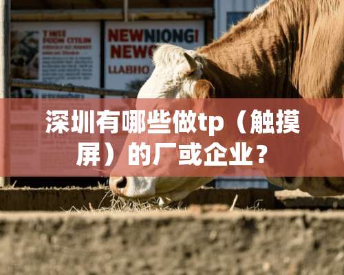 深圳有哪些做tp（触摸屏）的厂或企业？