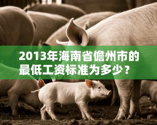 2013年海南省儋州市的最低工资标准为多少？ 每小时工薪为多少