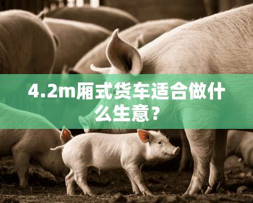 4.2m厢式货车适合做什么生意？