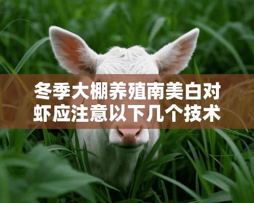 冬季大棚养殖南美白对虾应注意以下几个技术环节