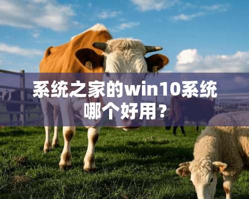 系统之家的win10系统哪个好用？