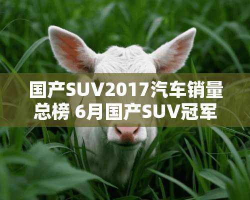 国产SUV2017汽车销量总榜 6月国产SUV冠军是谁