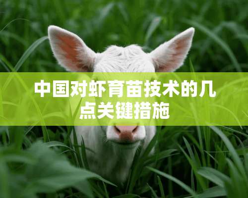 中国对虾育苗技术的几点关键措施