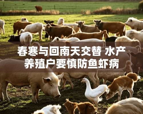 春寒与回南天交替 水产养殖户要慎防鱼虾病