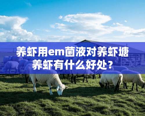 养虾用em菌液对养虾塘养虾有什么好处？