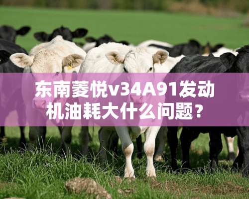 东南菱悦v34A91发动机油耗大什么问题？