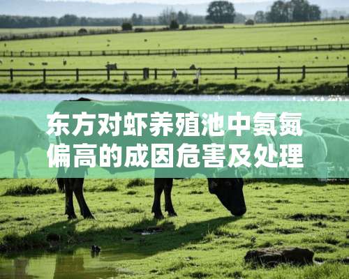 东方对虾养殖池中氨氮偏高的成因危害及处理措施