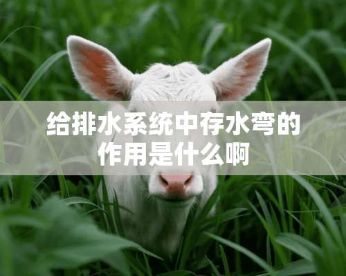 给排水系统中存水弯的作用是什么啊