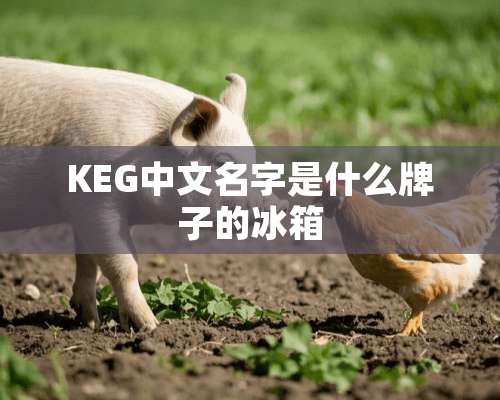 KEG中文名字是什么牌子的冰箱