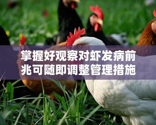 掌握好观察对虾发病前兆可随即调整管理措施与加强病害防治