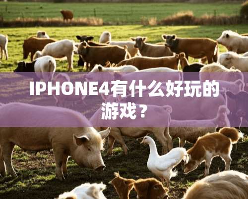 IPHONE4有什么好玩的游戏？