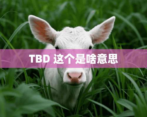 TBD 这个是啥意思