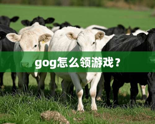 gog怎么领游戏？