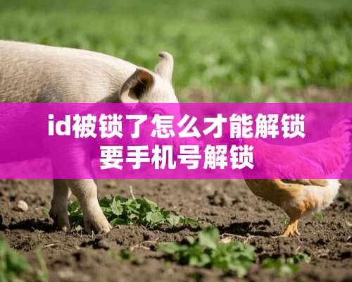 id被锁了怎么才能解锁要手机号解锁