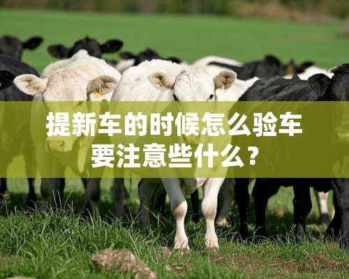 提新车的时候怎么验车要注意些什么？