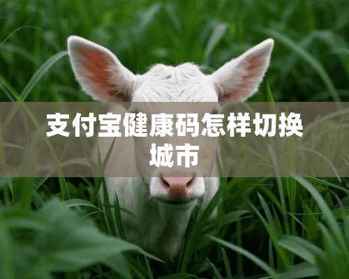 支付宝健康码怎样切换城市