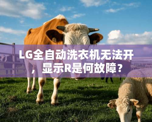 LG全自动洗衣机无法开，显示R是何故障？