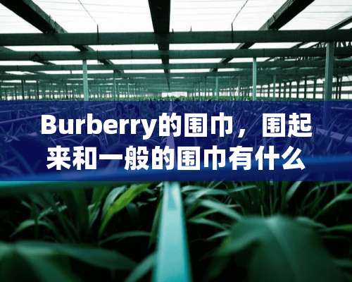 Burberry的围巾，围起来和一般的围巾有什么不同？质感有什么不同？