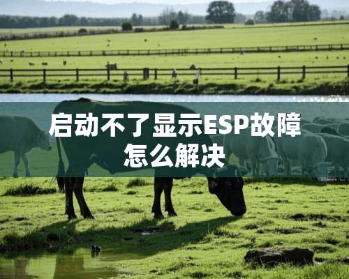 启动不了显示ESP故障怎么解决