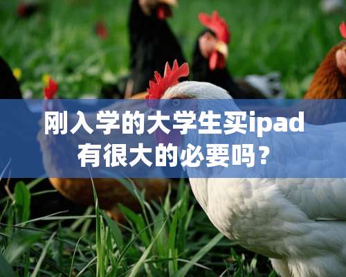 刚入学的大学生买ipad有很大的必要吗？