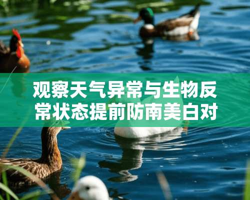 观察天气异常与生物反常状态提前防南美白对虾浮头