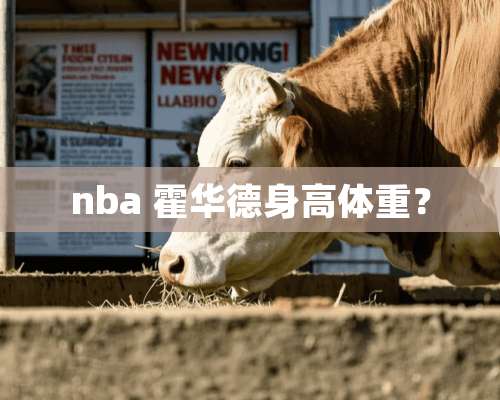 nba 霍华德身高体重？