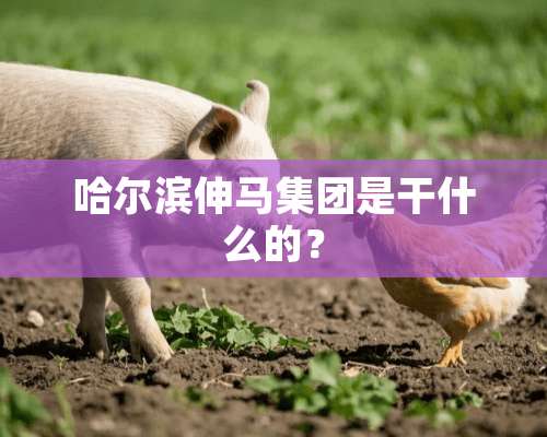 哈尔滨伸马集团是干什么的？