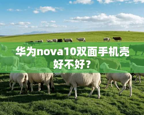 华为nova10双面手机壳好不好？