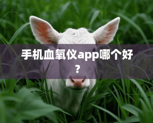 手机血氧仪app哪个好？