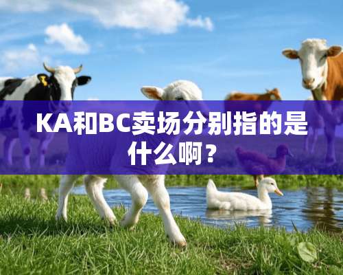 KA和BC卖场分别指的是什么啊？