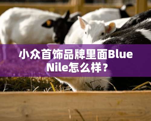 小众首饰品牌里面Blue Nile怎么样？